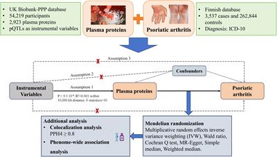 Plasma proteins and psoriatic arthritis: a proteome-wide Mendelian randomization study